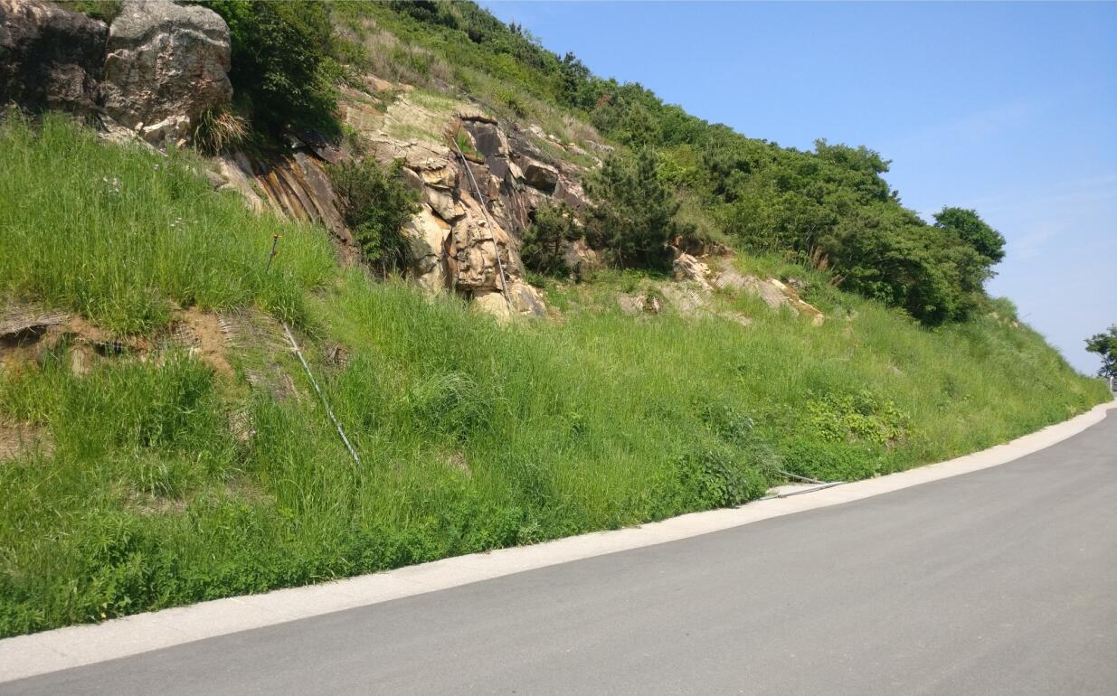 温岭市石塘镇半岛沿海绿道道路边坡覆绿工程